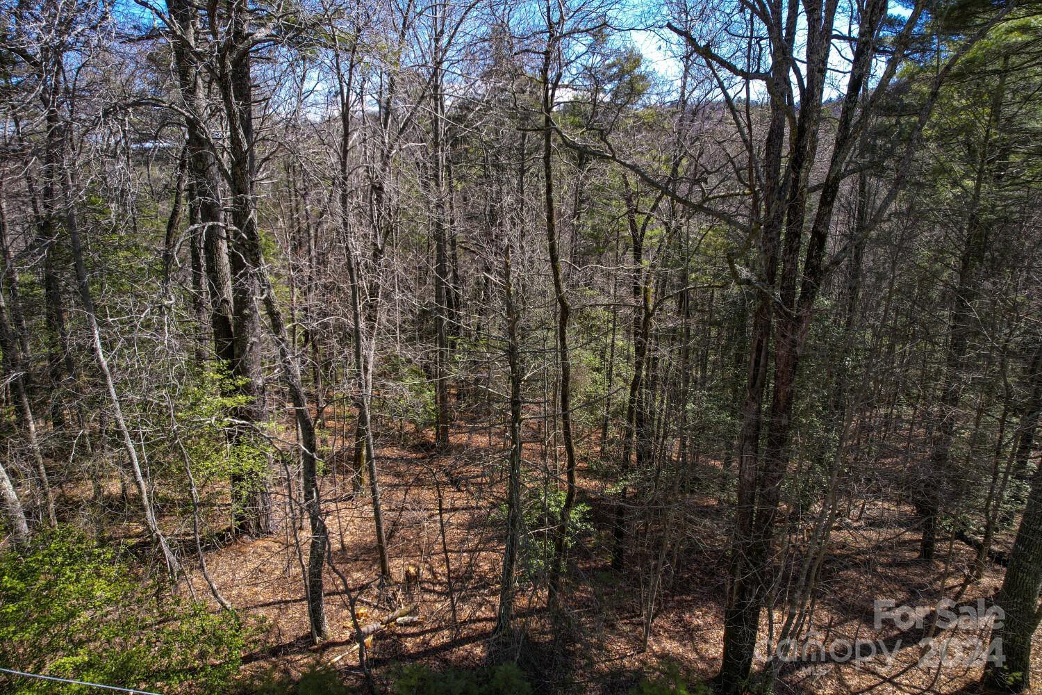 9999 Upper Whitewater Road, Unit 122 Sapphire, NC 28774 - Photo 7 of 10