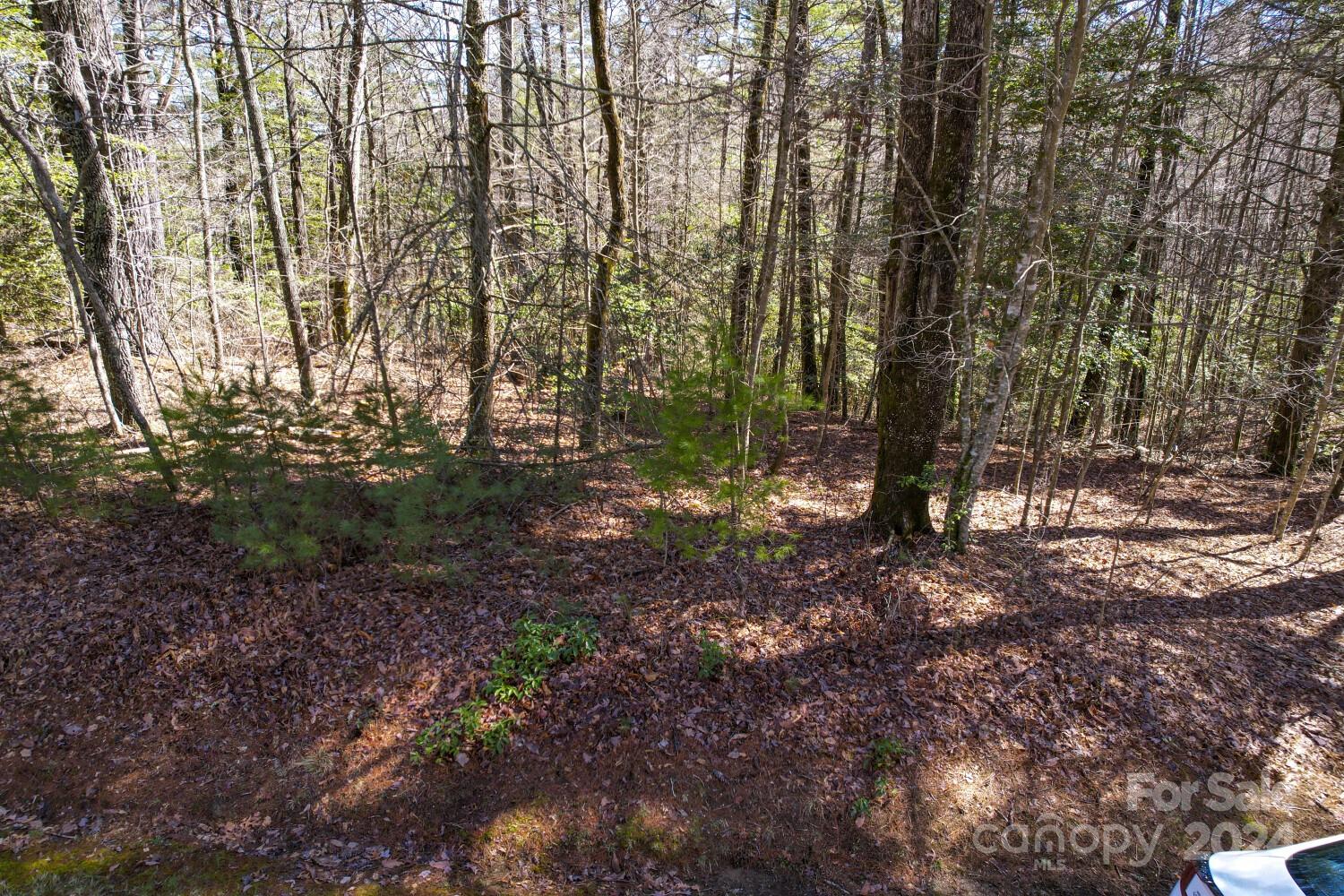 9999 Upper Whitewater Road, Unit 122 Sapphire, NC 28774 - Photo 8 of 10