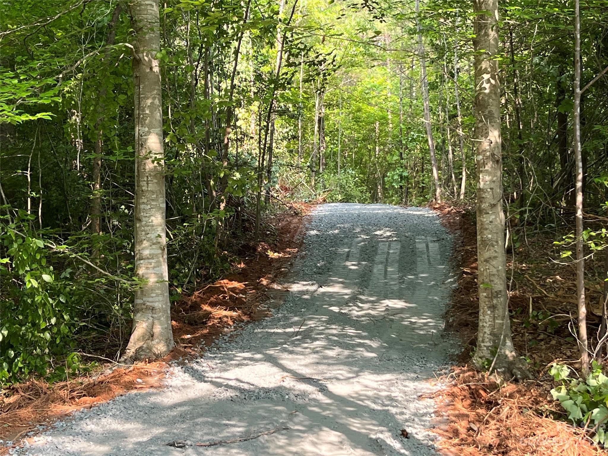 0 Bridge Lane, Unit 2 Tryon, NC 28782 - Photo 9 of 9