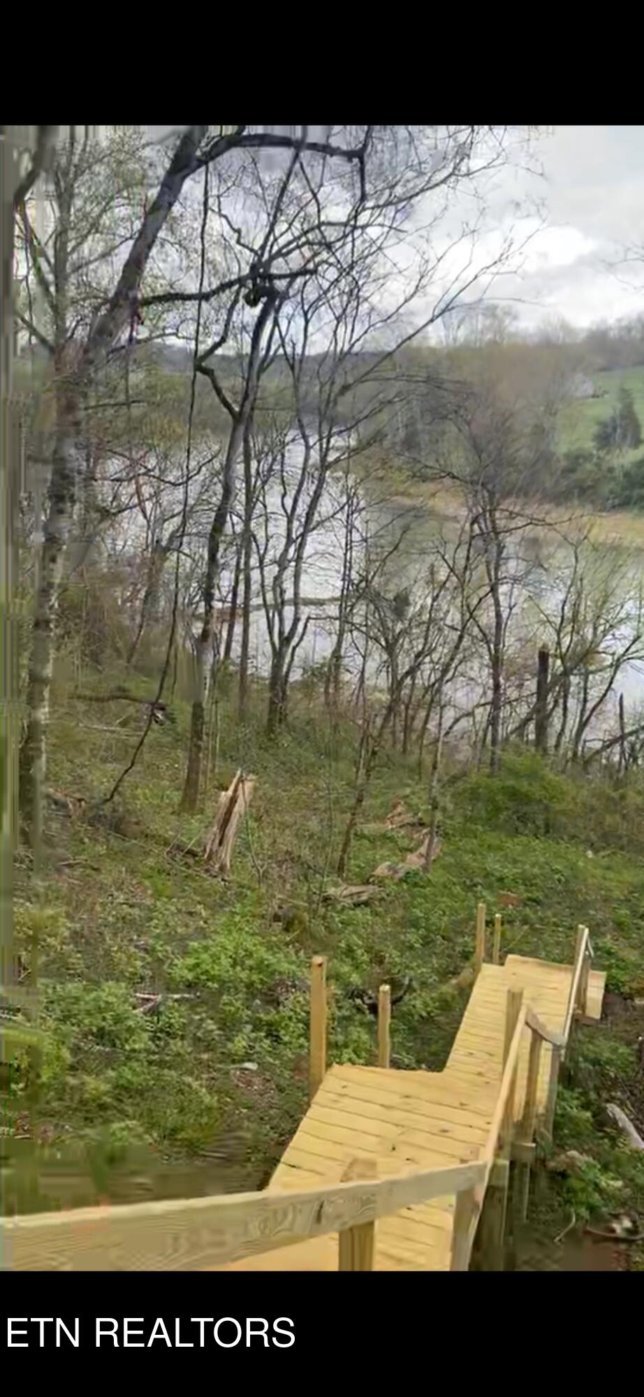 Lot 44 Holston River Drive Rutledge, TN 37861 - Photo 18 of 19 View recent photos