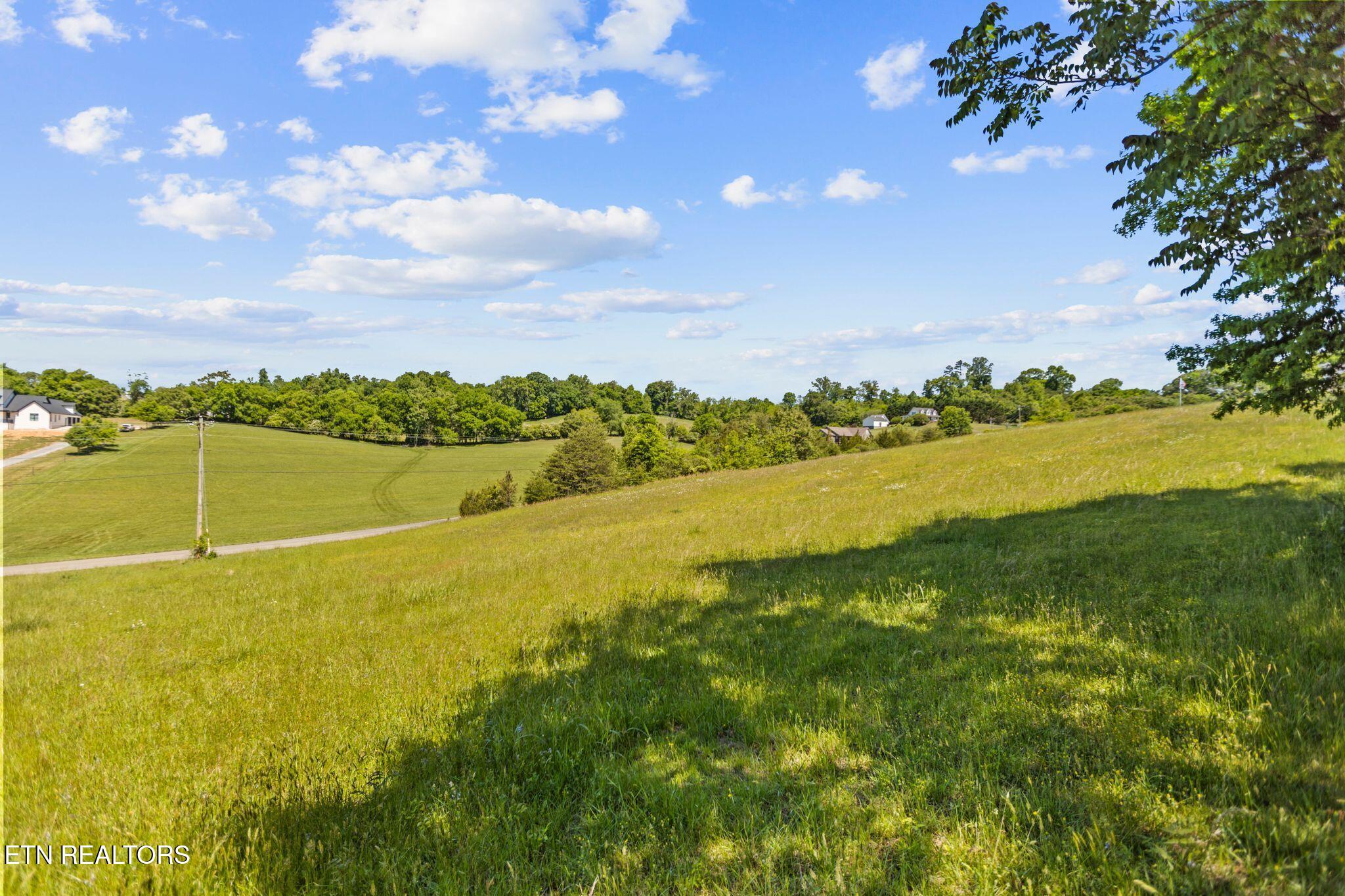 Lot 44 Holston River Drive Rutledge, TN 37861 - Photo 3 of 19 Nice neighborhood with houses spread out