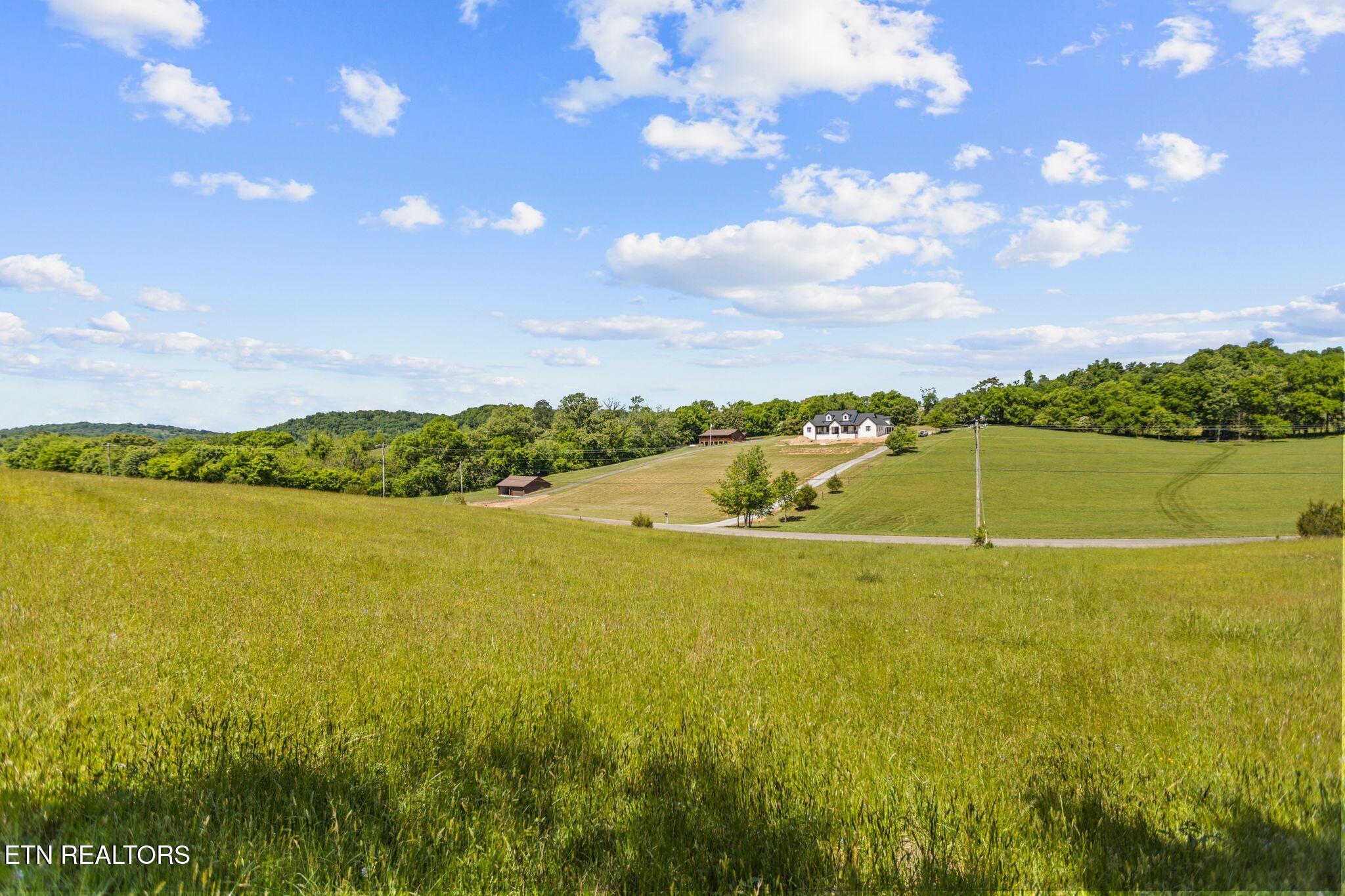 Lot 44 Holston River Drive Rutledge, TN 37861 - Photo 4 of 19 No HOA in the neighborhood