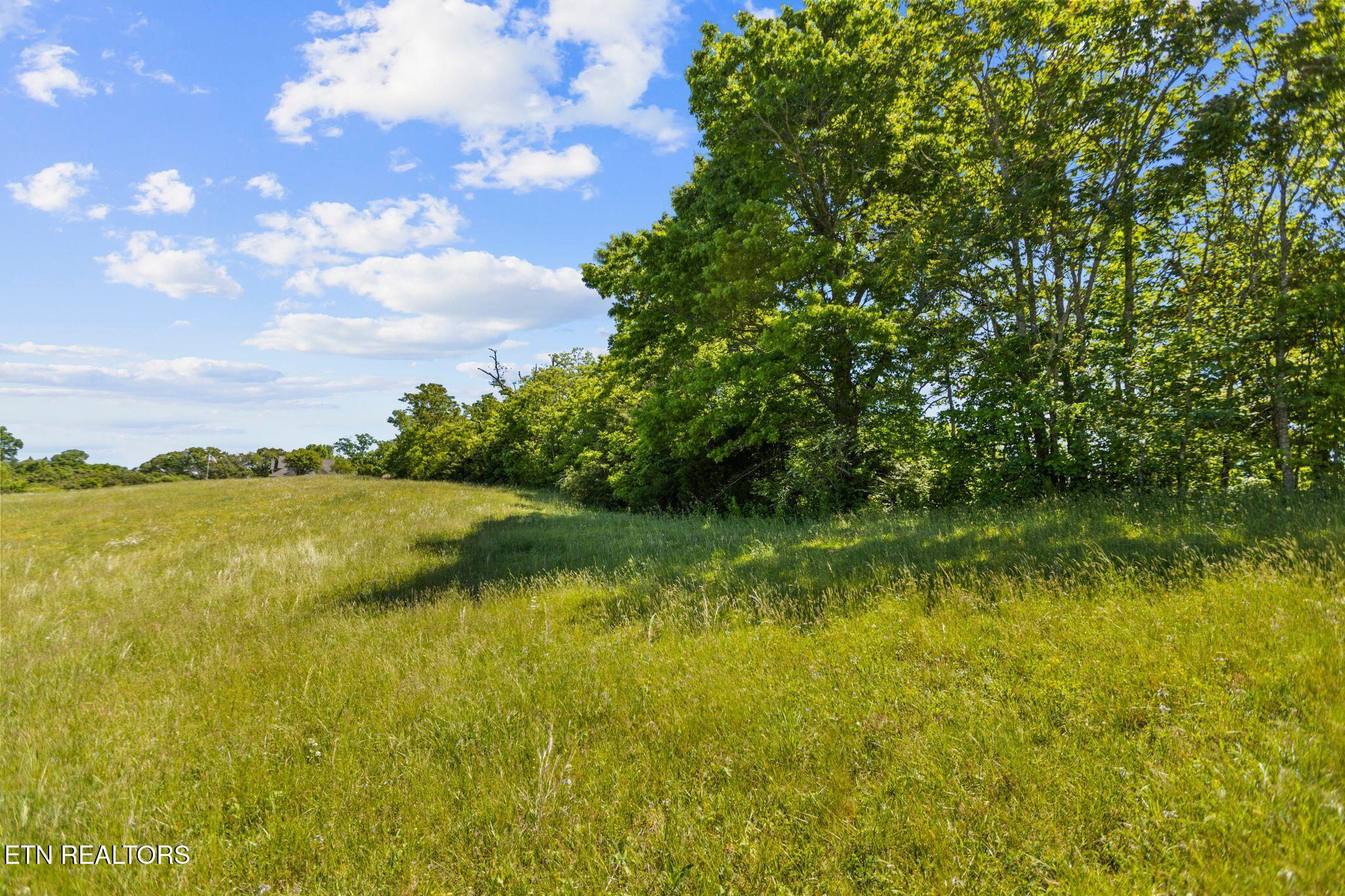 Lot 44 Holston River Drive Rutledge, TN 37861 - Photo 5 of 19 There electricity and public water