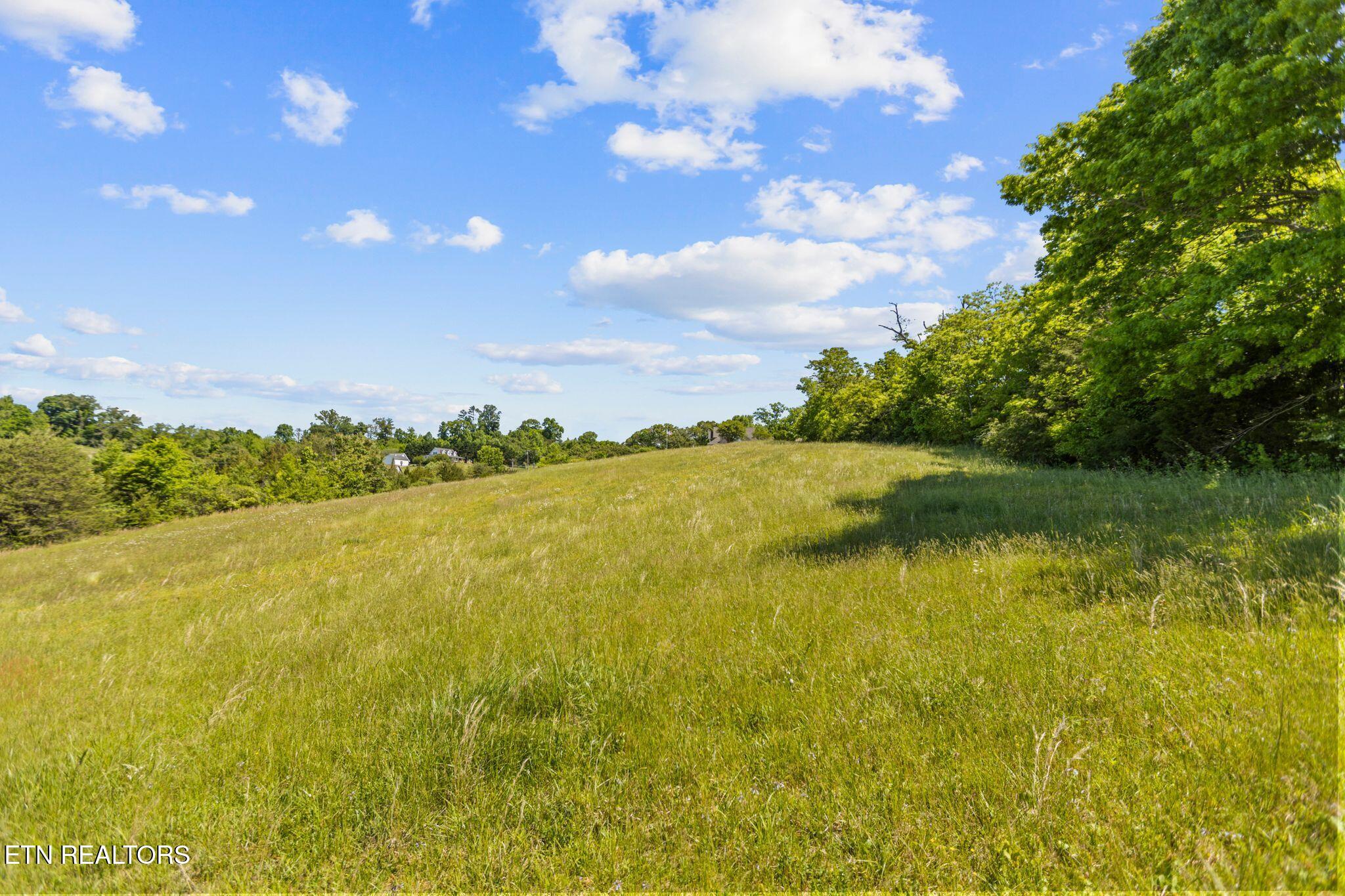 Lot 44 Holston River Drive Rutledge, TN 37861 - Photo 6 of 19 Soil test is on file