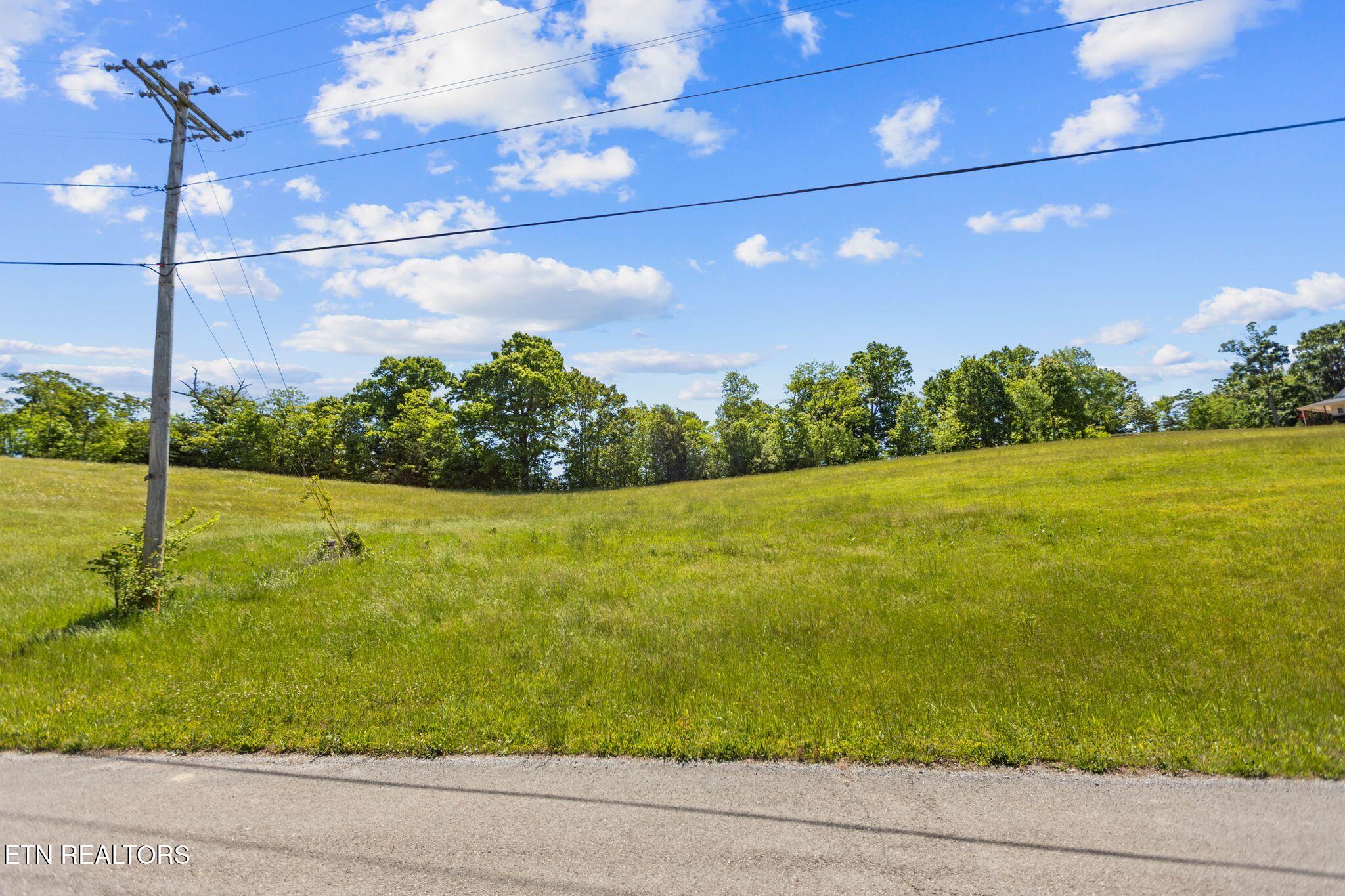 Lot 44 Holston River Drive Rutledge, TN 37861 - Photo 8 of 19 Photo Jul 25 2026, 10 51 45 PM - Copy