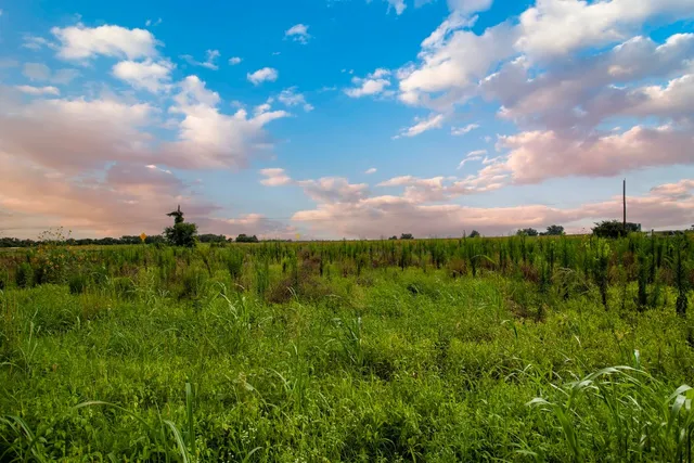 $2,800,000 | 150 County Road 126, Georgetown, TX 78626