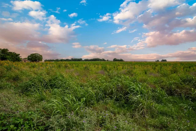 $2,800,000 | 150 County Road 126, Georgetown, TX 78626