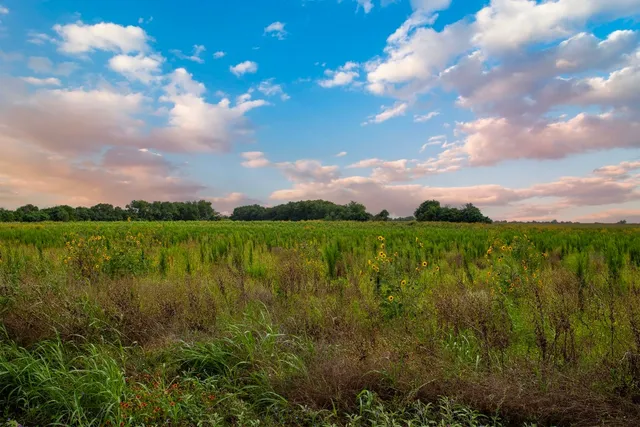 $2,800,000 | 150 County Road 126, Georgetown, TX 78626