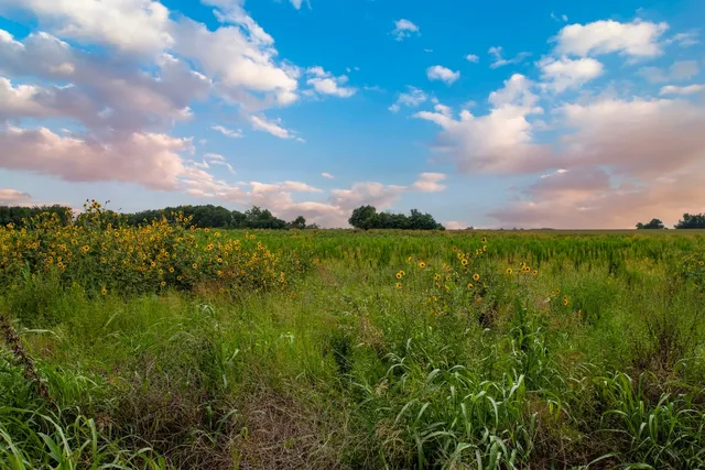 $2,800,000 | 150 County Road 126, Georgetown, TX 78626