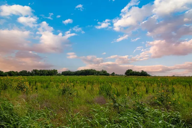 $2,800,000 | 150 County Road 126, Georgetown, TX 78626