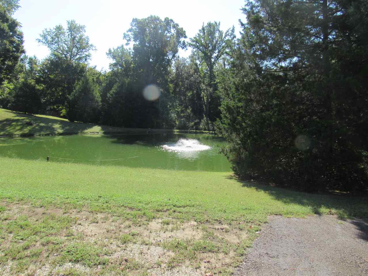 1552 McWilliams Road Covington, TN 38019 - Photo 5 of 19 Gallery Image 5