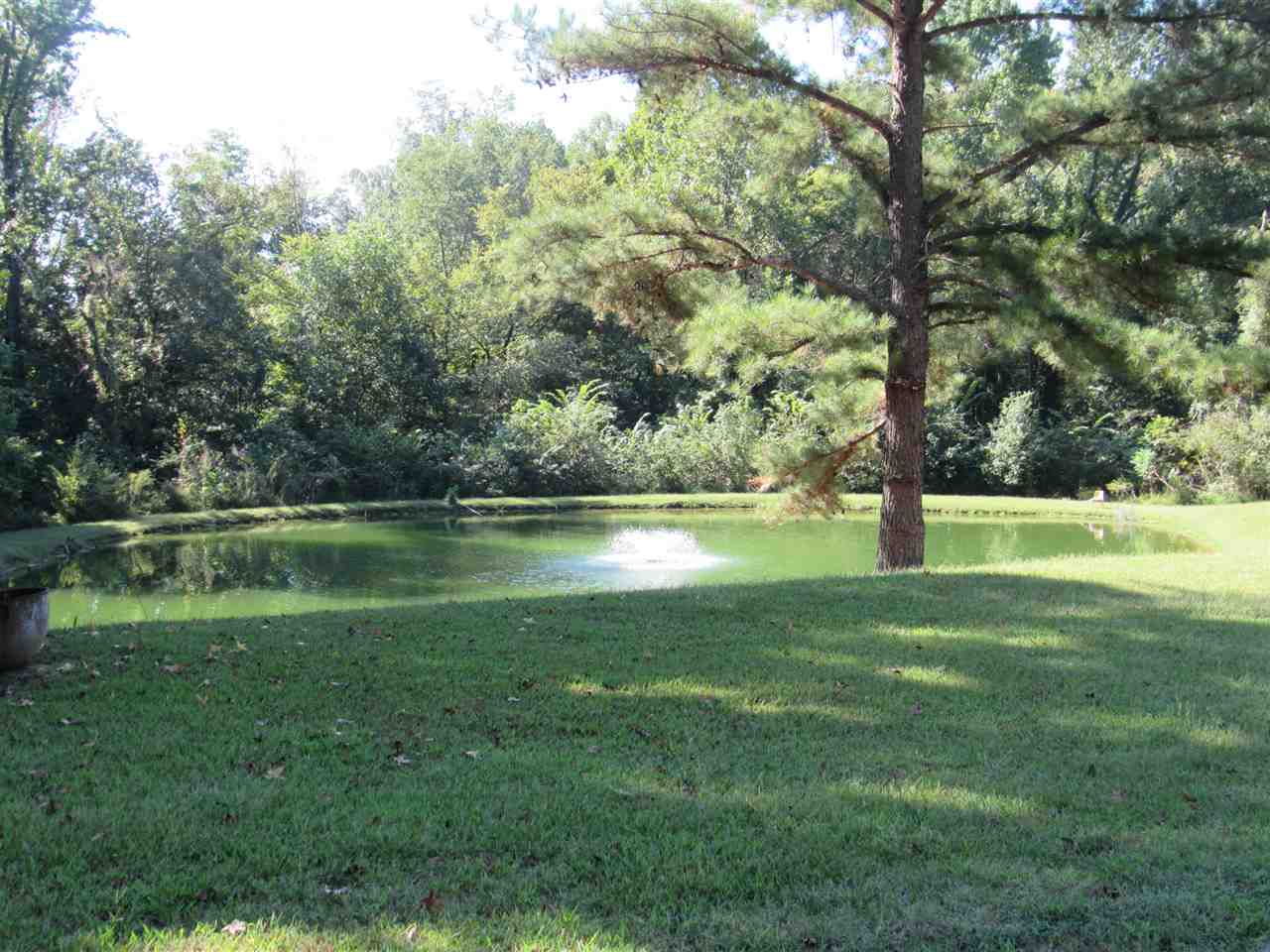 1552 McWilliams Road Covington, TN 38019 - Photo 7 of 19 Gallery Image 7
