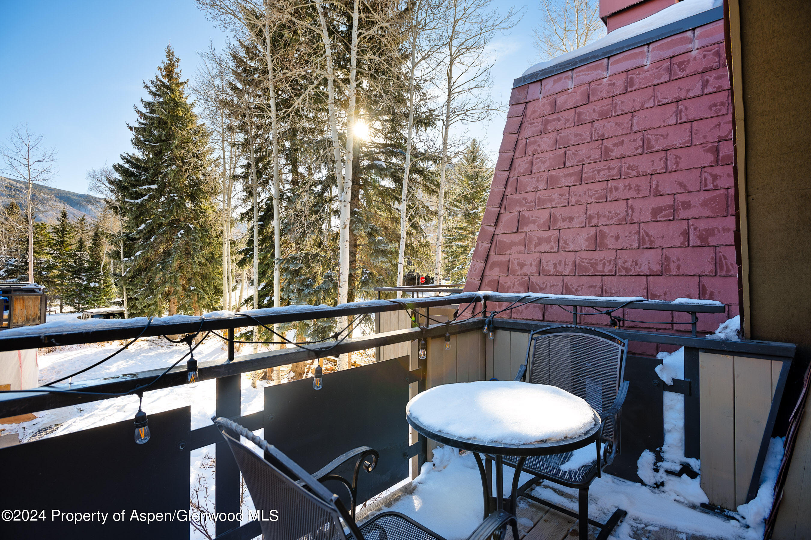 108 West Hyman Avenue, Unit 3 Aspen, CO 81611 - Photo 12 of 12 a backyard of a house with table and chairs