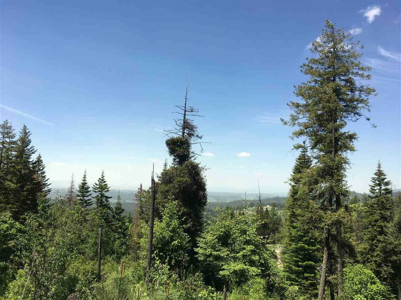 17303 East Temple Road Spokane, WA 99217 - Photo 8 of 8