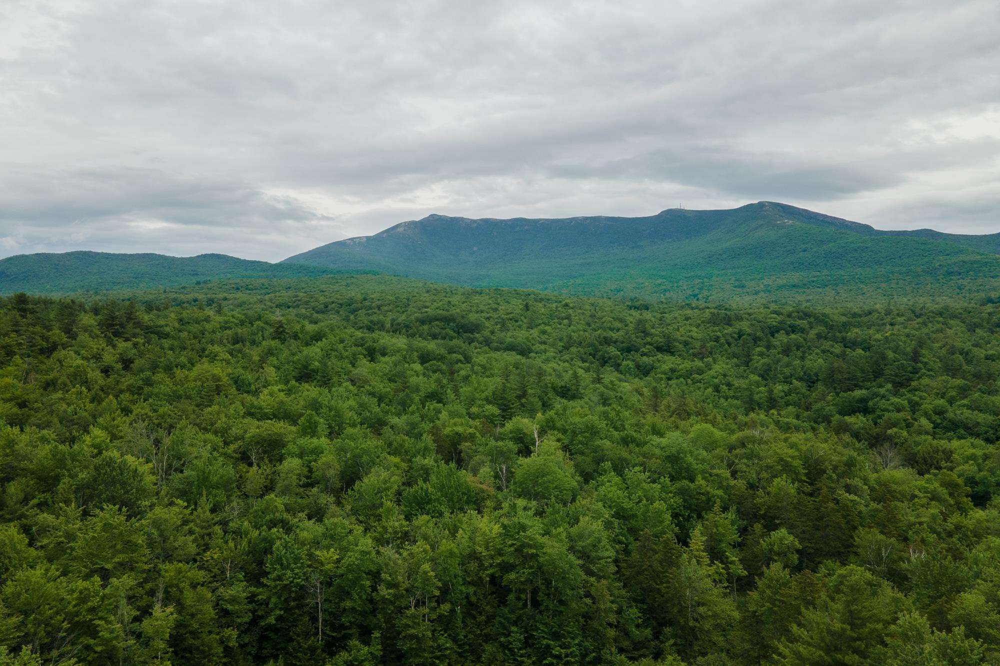 22 Pinnacle Ridge Underhill, VT 05489 - Photo 7 of 40 Gallery Image 7