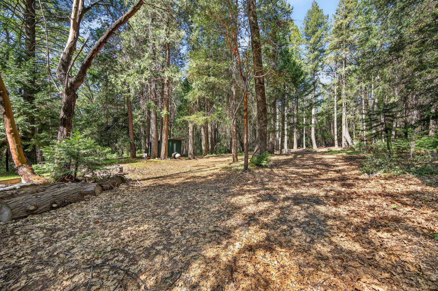 28245 Big Dipper Road Colfax, CA 95713 - Photo 42 of 59