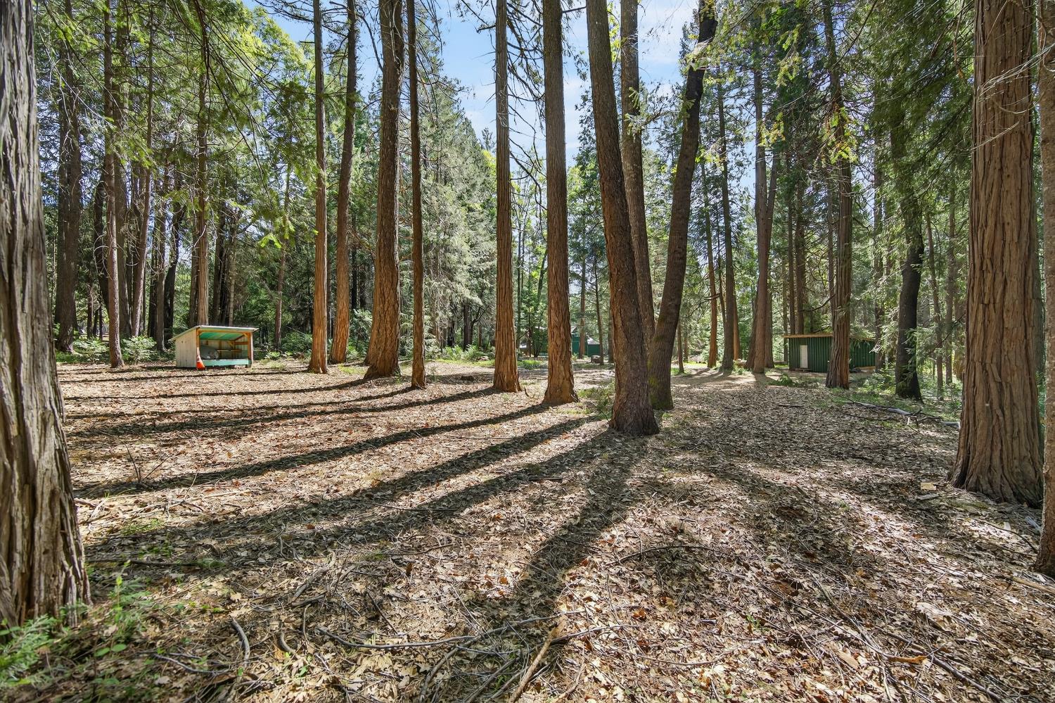 28245 Big Dipper Road Colfax, CA 95713 - Photo 48 of 59