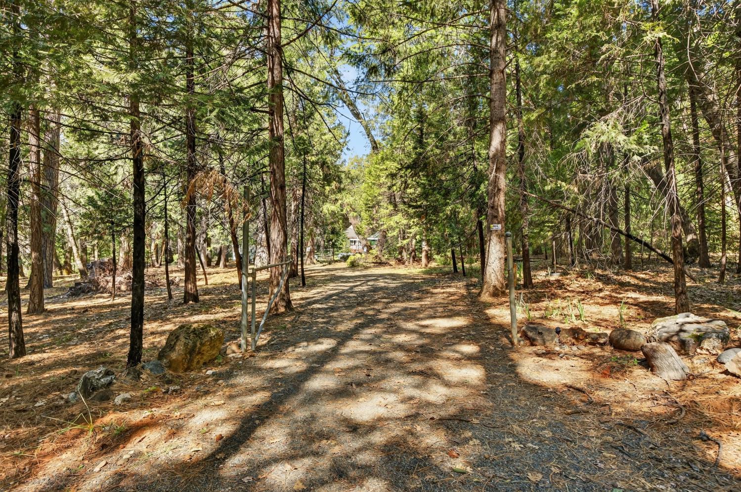 28245 Big Dipper Road Colfax, CA 95713 - Photo 56 of 59