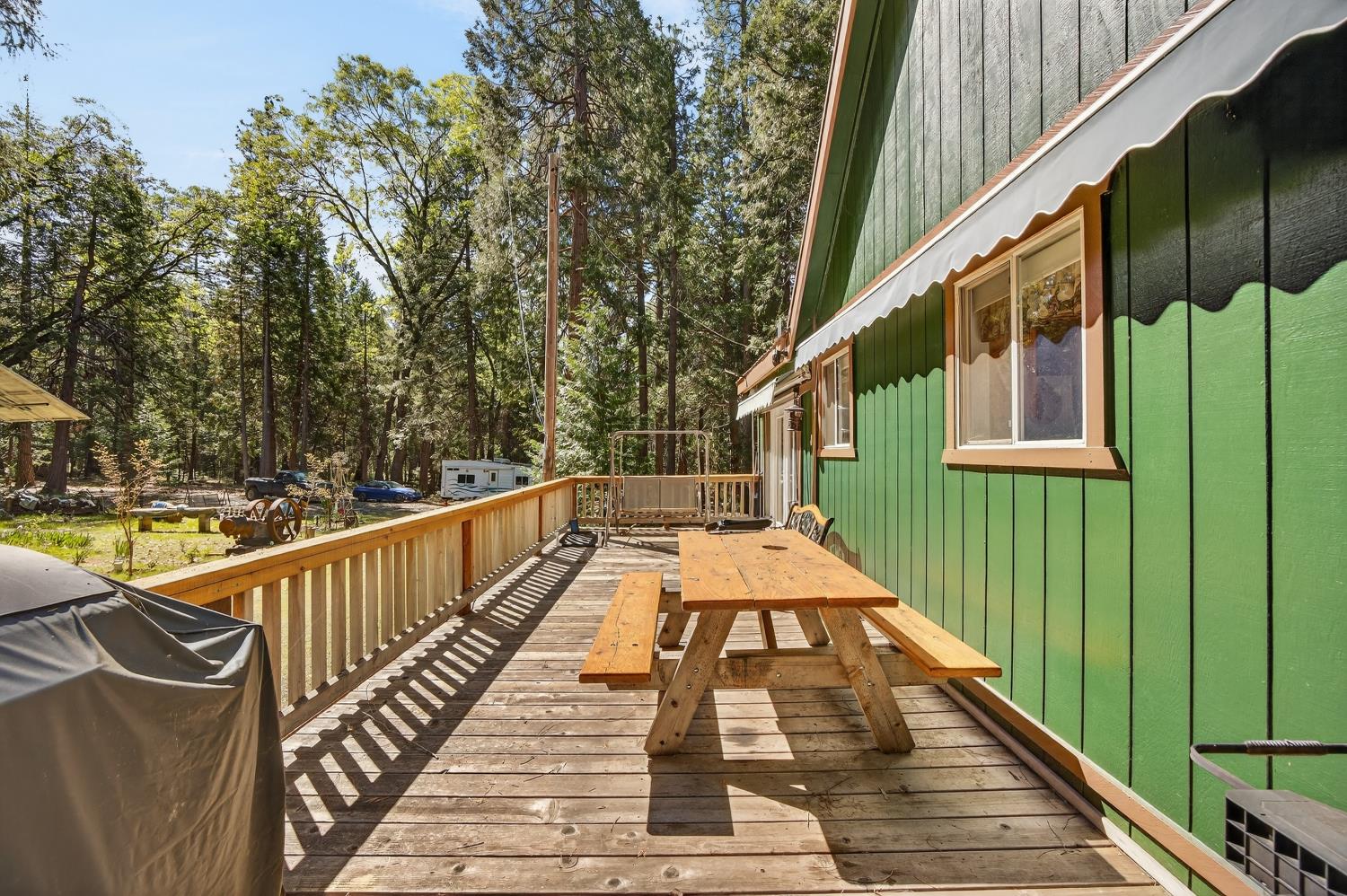 28245 Big Dipper Road Colfax, CA 95713 - Photo 7 of 59