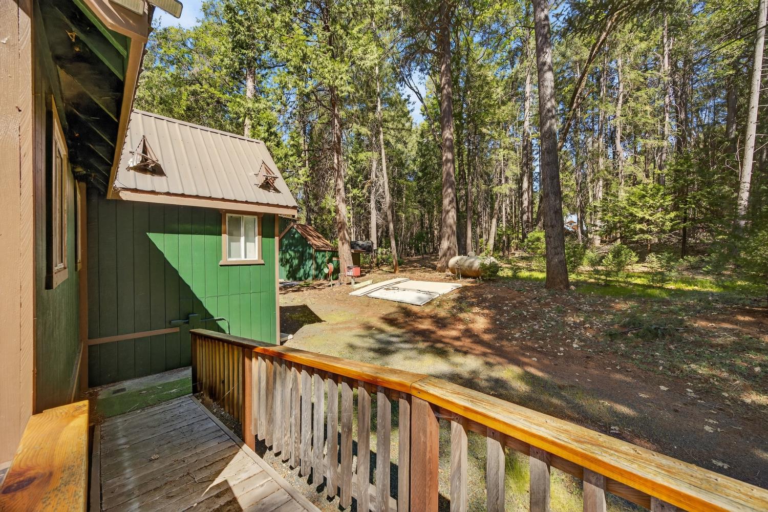 28245 Big Dipper Road Colfax, CA 95713 - Photo 8 of 59