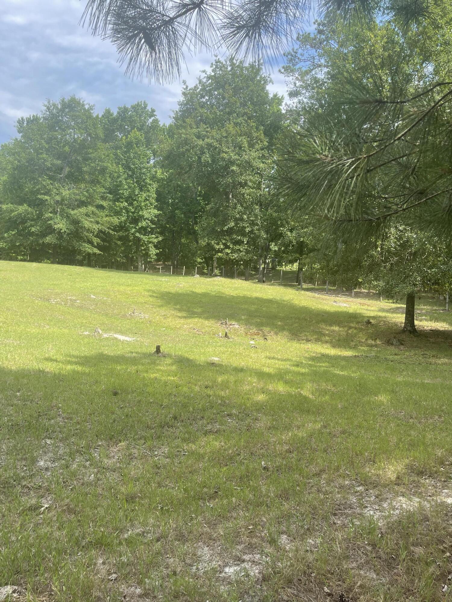 56 Geno Branch Road Camden, SC 29020 - Photo 15 of 21