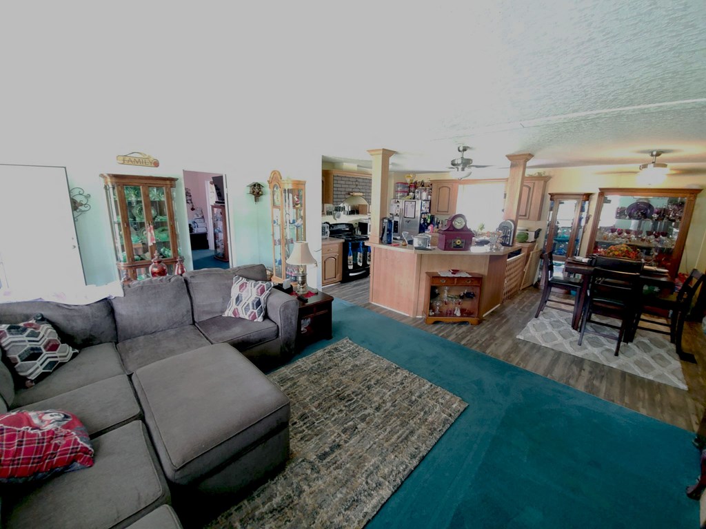 222 Harper Road Coleman, GA 39836 - Photo 10 of 20