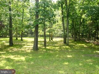84 Oakshade Road Tabernacle, NJ 08088 - Photo 3 of 5