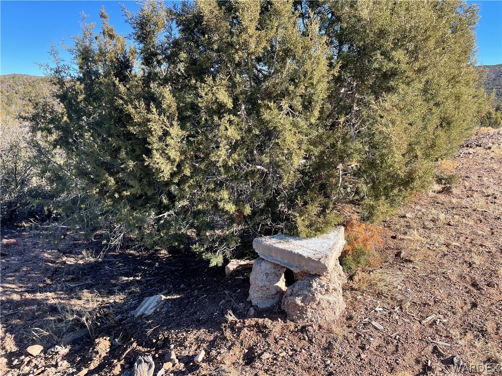 176 North Willows Ranch Road Kingman, AZ 86401 - Photo 11 of 17 a bench sitting in middle of a forest