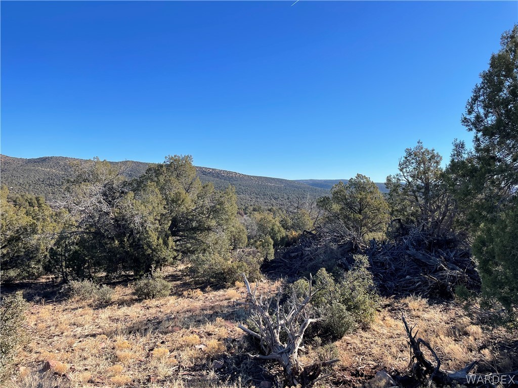 176 North Willows Ranch Road Kingman, AZ 86401 - Photo 12 of 17 a view of mountain and tree