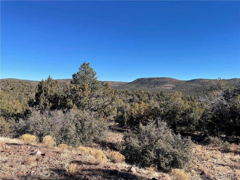 176 North Willows Ranch Road Kingman, AZ 86401 - Photo 13 of 17 a view of a dry yard with mountains in the background