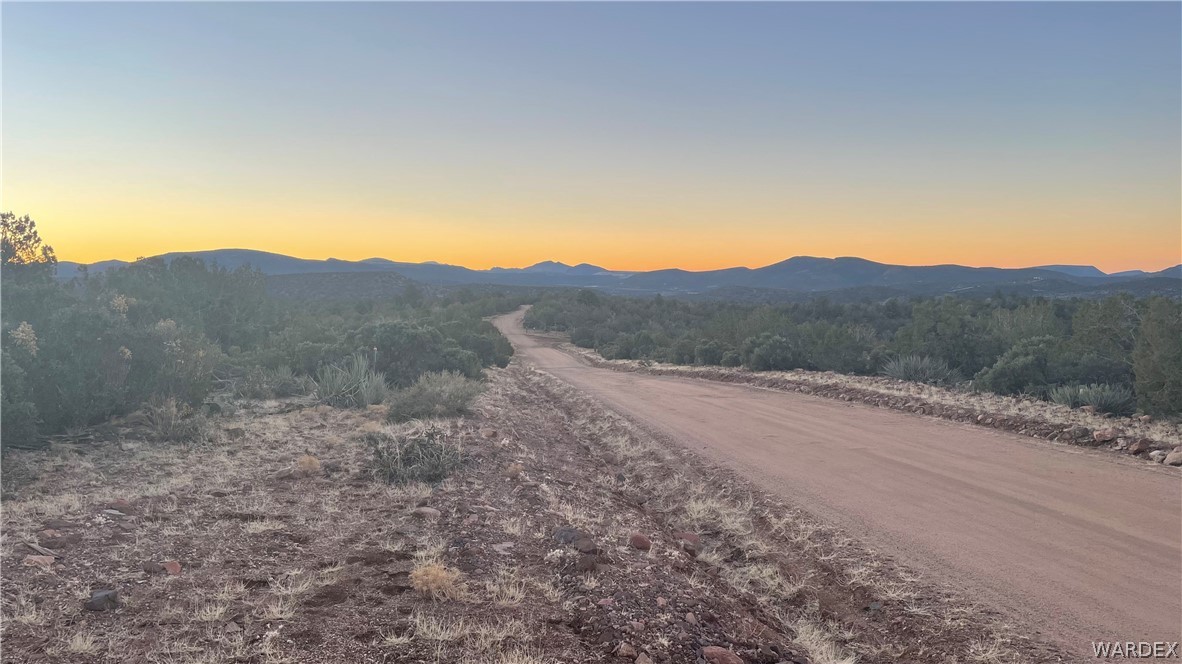 176 North Willows Ranch Road Kingman, AZ 86401 - Photo 3 of 17 a view of a mountain range with trees