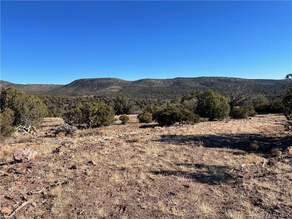 176 North Willows Ranch Road Kingman, AZ 86401 - Photo 6 of 17 a view of a dry yard with mountains in the background