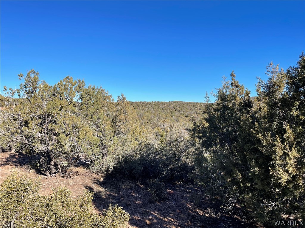 176 North Willows Ranch Road Kingman, AZ 86401 - Photo 10 of 17 a view of a yard with a tree in the background