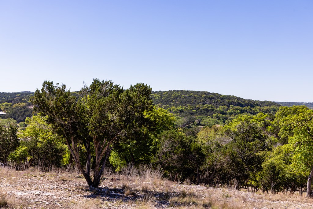 0 Pawnee Path Hunt, TX 78024 - Photo 16 of 32