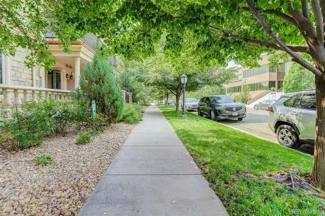 a view of a garden with car parked