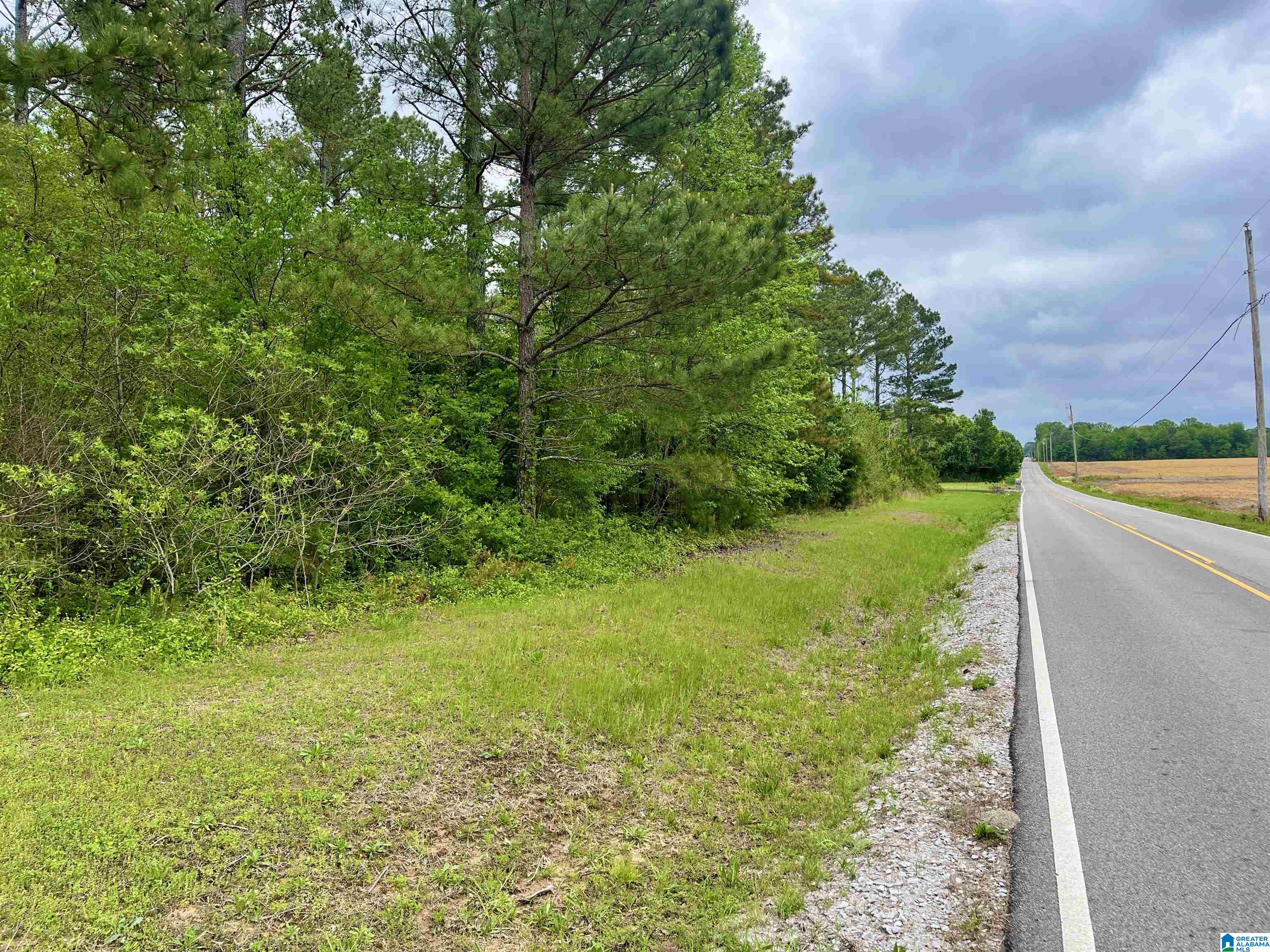 2499 Carter Grove Road, Unit 1 Hazel Green, AL 35750 - Photo 10 of 10