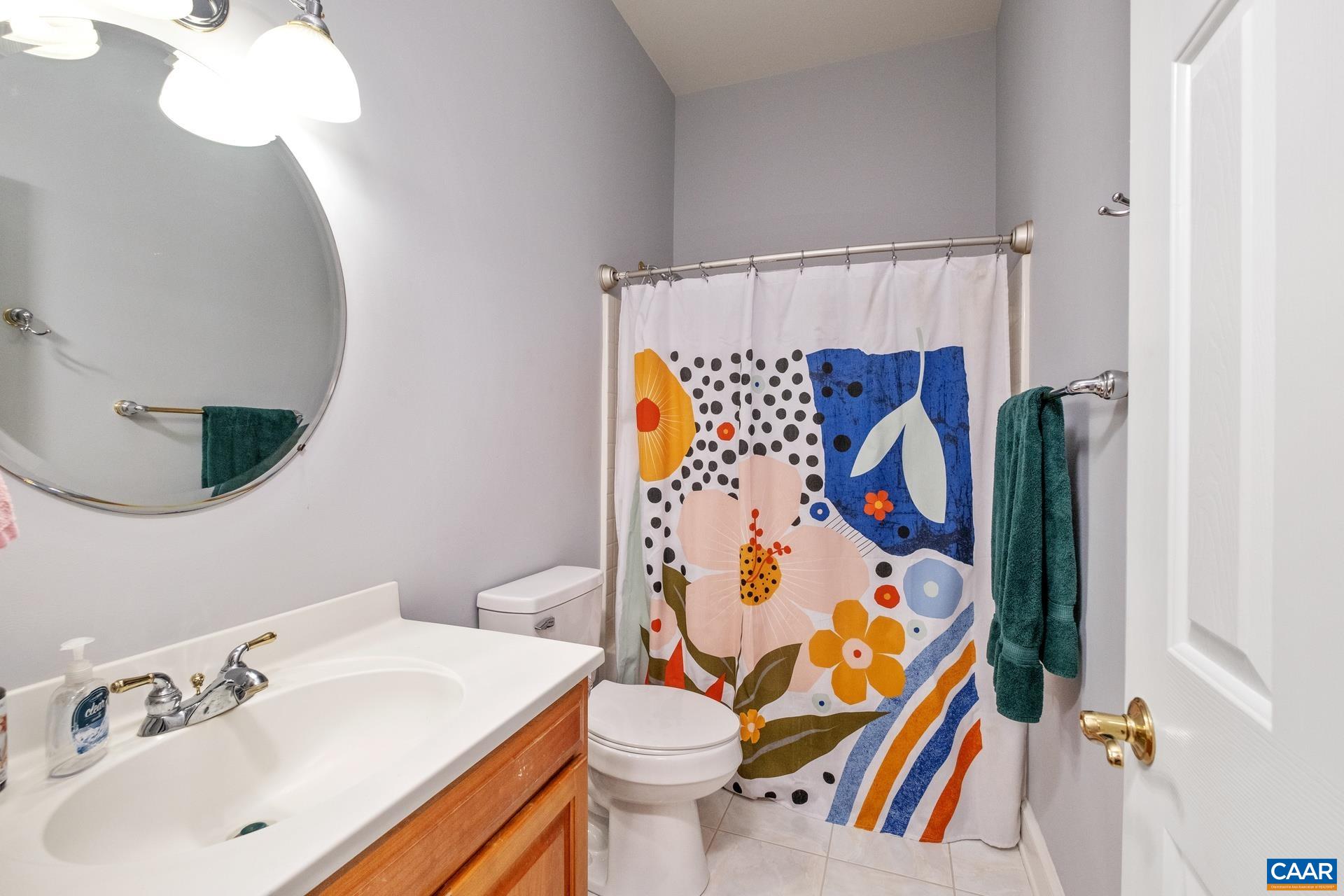 684 Campbell Road Keswick, VA 22947 - Photo 35 of 51 a bathroom with a sink and a mirror