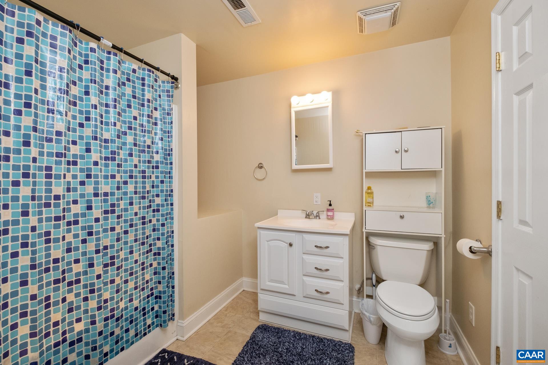 684 Campbell Road Keswick, VA 22947 - Photo 40 of 51 a bathroom with a toilet a sink and a shower