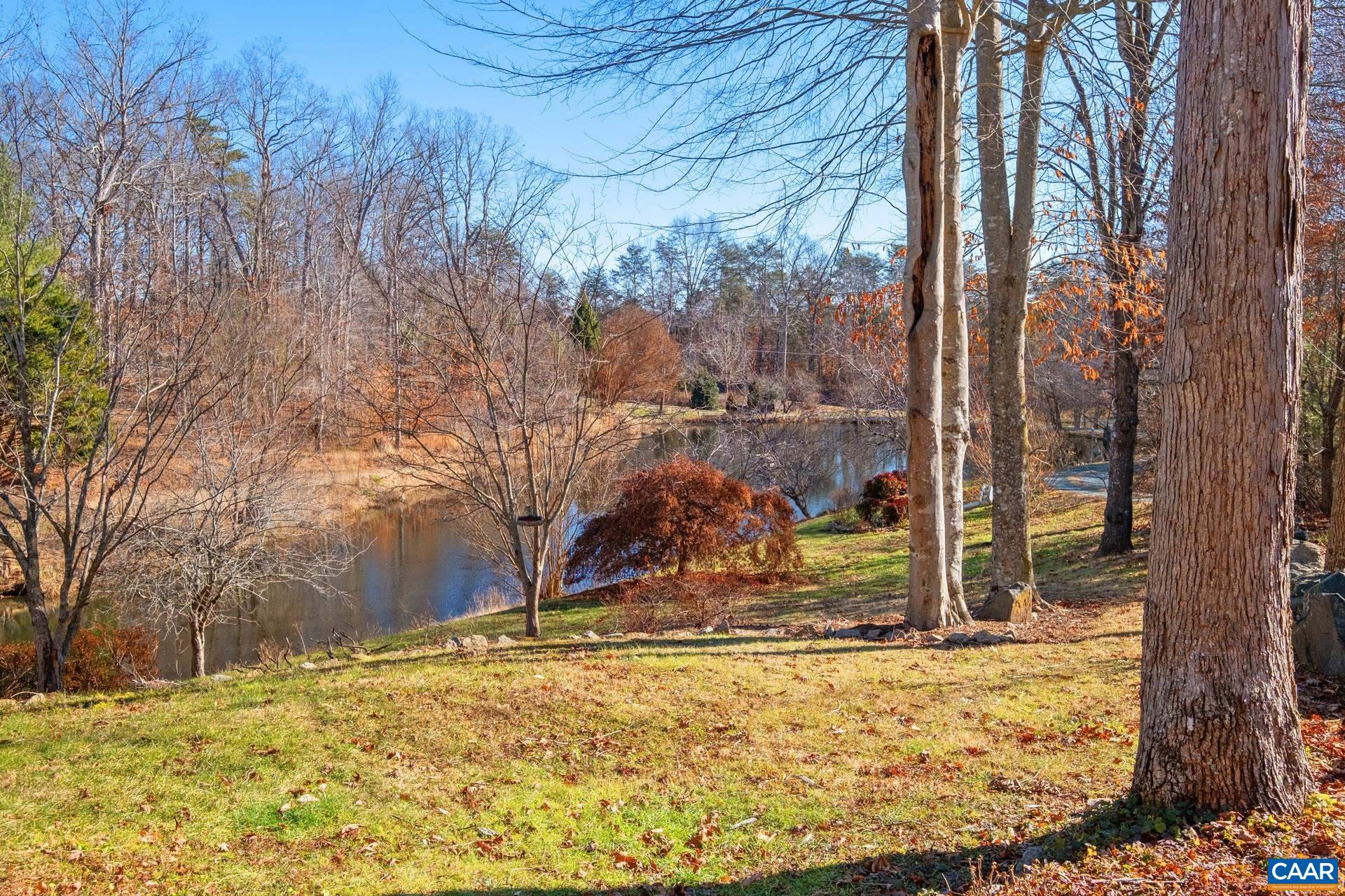 684 Campbell Road Keswick, VA 22947 - Photo 10 of 51 a view of a yard with a tree