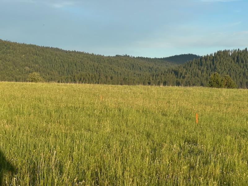 13712 Farm To Market Road McCall, ID 83638 - Photo 5 of 7