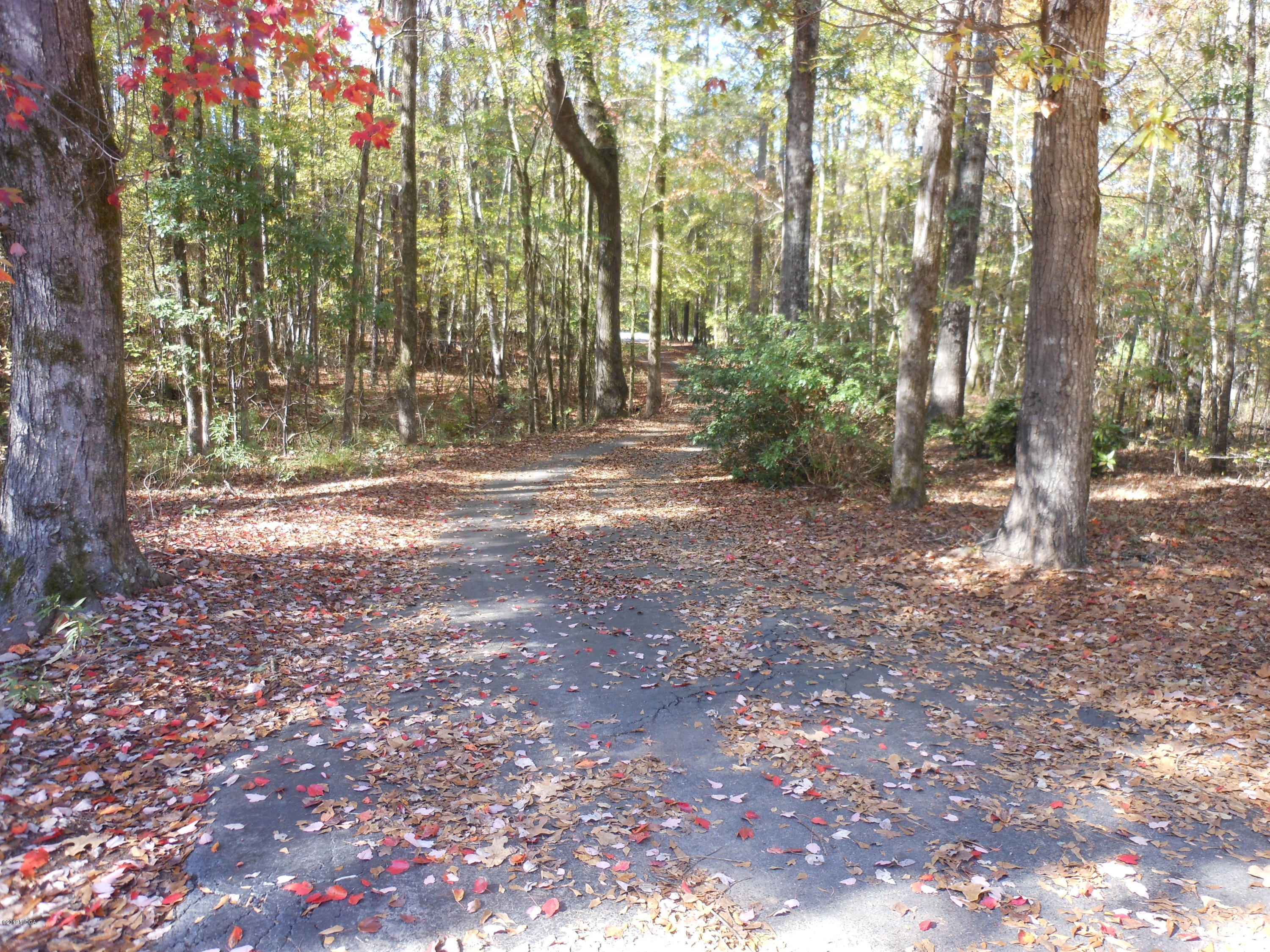 1248 Halls Bridge Road Jackson, GA 30233 - Photo 2 of 25 a view of a yard with trees