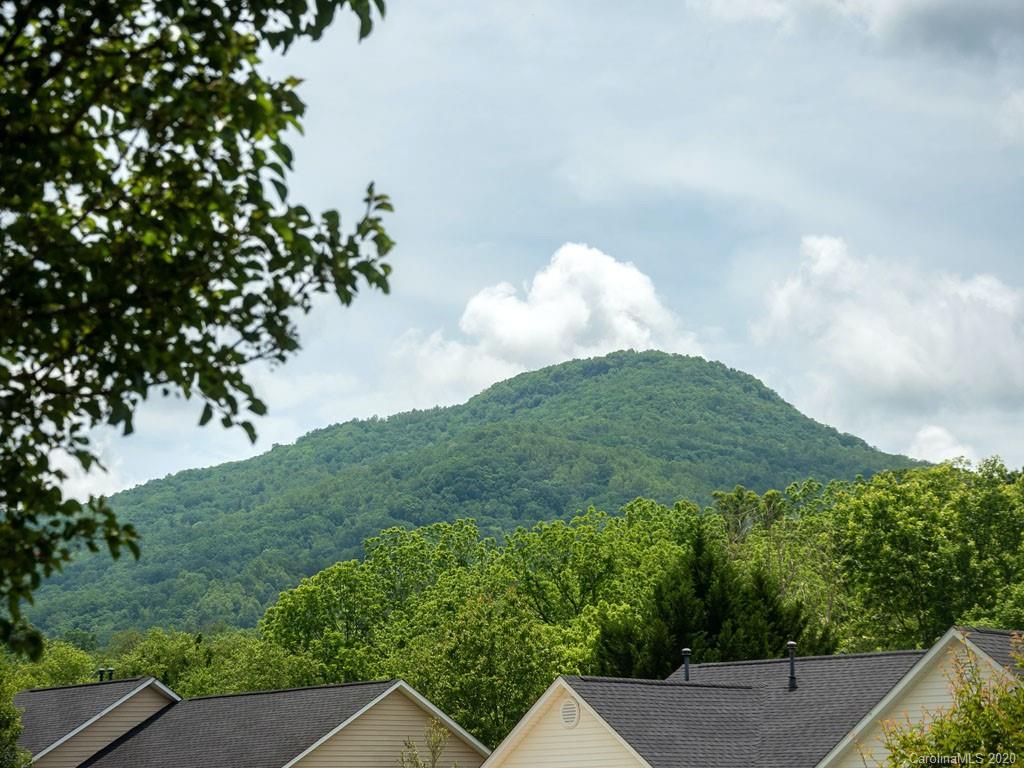 282 Cottage Ridge Road Fletcher, NC 28732 - Photo 3 of 18
