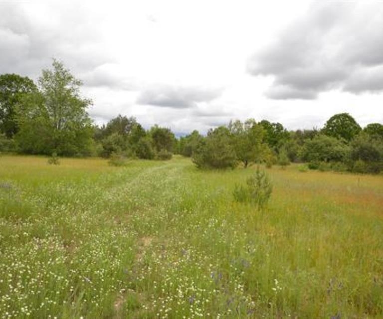 0 43 North 43 1/2 Road, Unit LOT: B Manton, MI 49663 - Photo 8 of 12