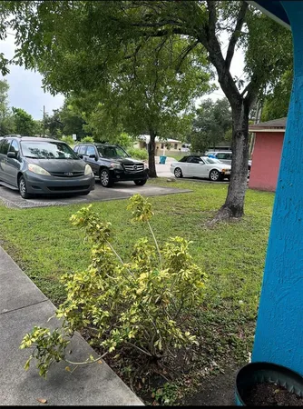 a view of a garden with car parked