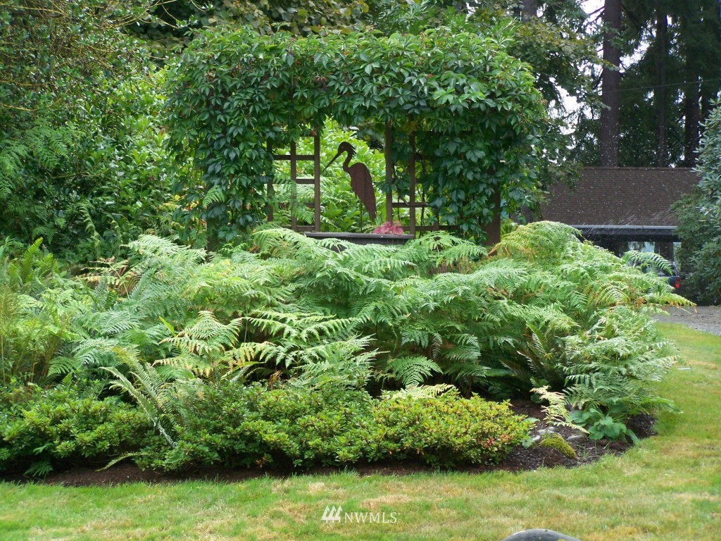 4231 Waldrick Road Southeast Olympia, WA 98501 - Photo 23 of 25 Gallery Image 23