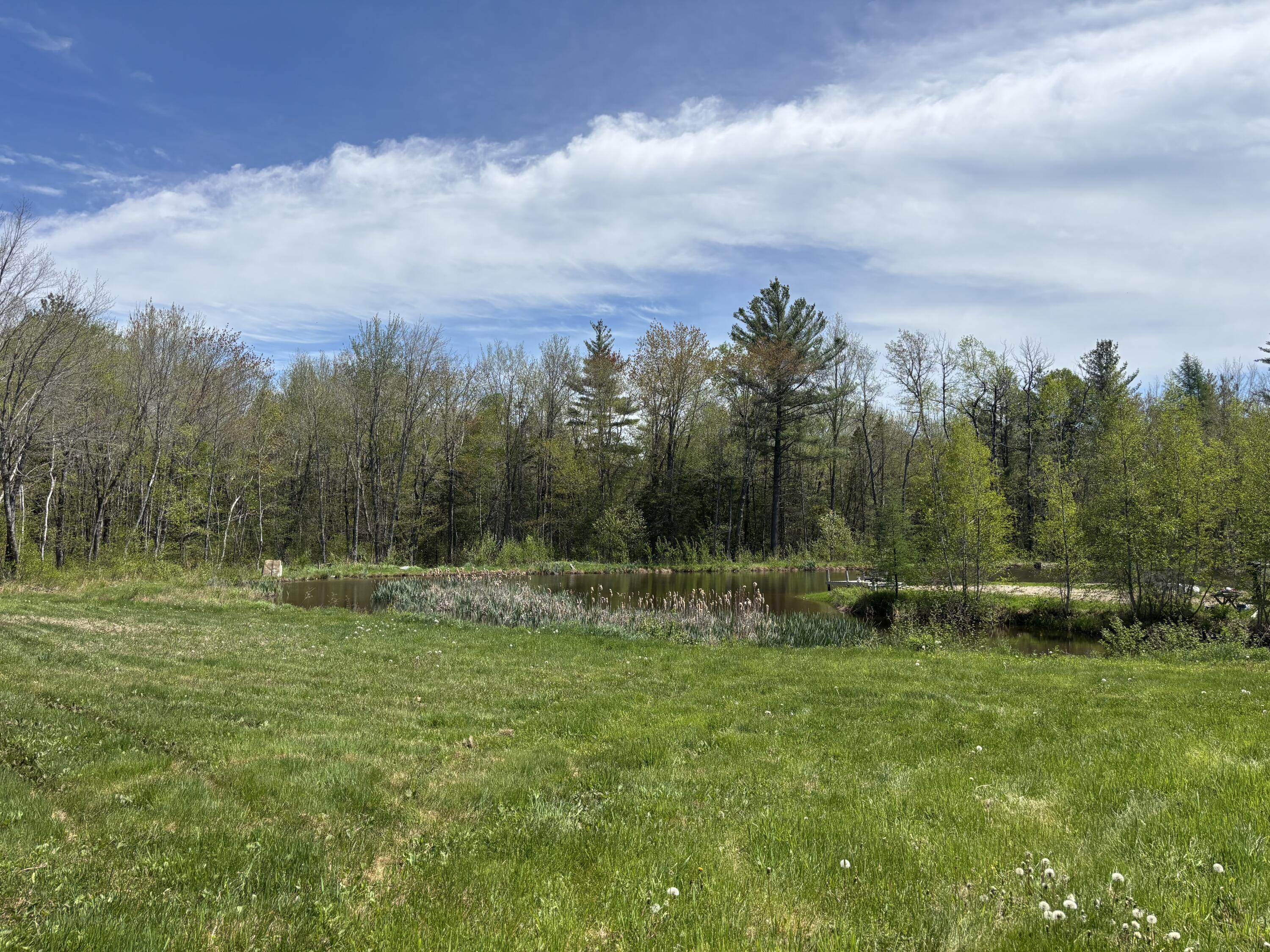 773 Hatchery Road Deblois, ME 04622 - Photo 4 of 24 Front Yard