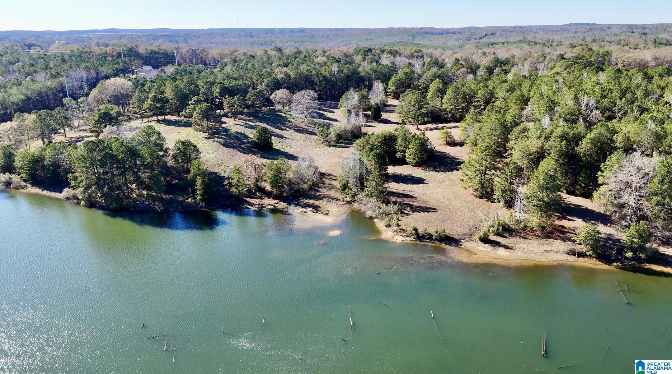10000 Eastern Valley Road, Unit 10000 West Blocton, AL 35184 - Photo 6 of 21