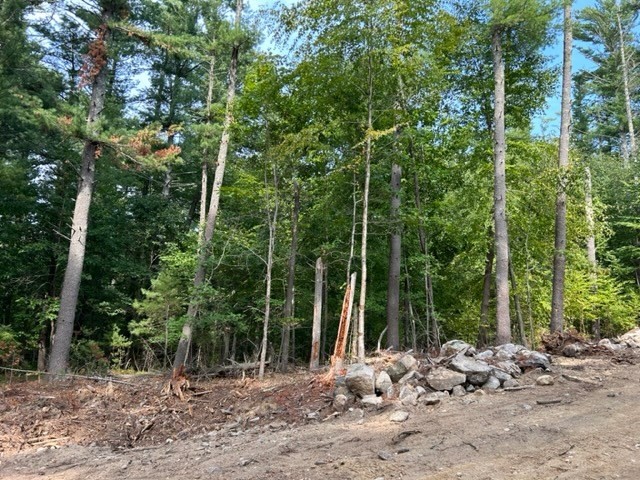 3a Old Road Duxbury, MA 02332 - Photo 2 of 17 a view of a forest with trees