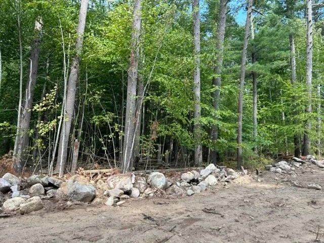 a view of a wooden floor yard