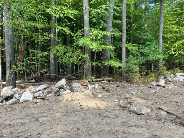 3a Old Road Duxbury, MA 02332 - Photo 5 of 17 a view of a yard with plants and large trees